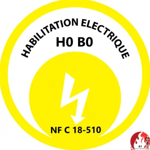 Formation habilitation électrique sécurité au travail avec formateur et stagiaires en situation pratique
