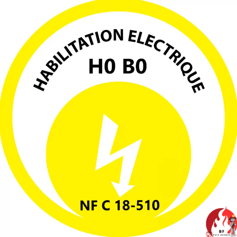 Formation habilitation électrique sécurité au travail avec formateur et stagiaires en situation pratique