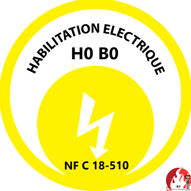 Formation habilitation électrique sécurité au travail avec formateur et stagiaires en situation pratique